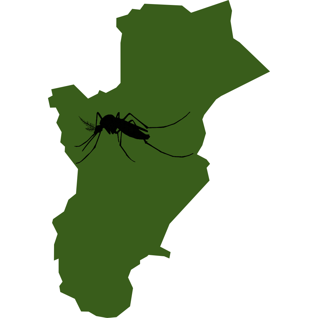 Dengue | 39 pessoas podem ter morrido em Conquista e mais mil pessoas notificaram a doença na última semana